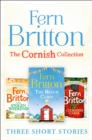 Image for Fern Britton short story collection
