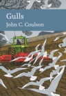 Image for Gulls