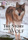 Image for The story of the wolf