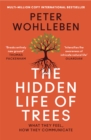 Image for The hidden life of trees  : what they feel, how they communicate