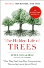 Image for The hidden life of trees: what they feel, how they communicate