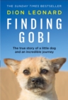 Image for Finding Gobi  : the true story of a little dog and an incredible journey