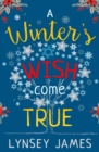 Image for A winter&#39;s wish come true