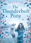 Image for The thunderbolt pony