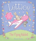 Image for Lettice: the flying rabbit