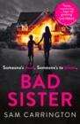 Image for Bad Sister : The Gripping Psychological Thriller Everyone is Talking About