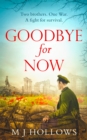 Image for Goodbye for now