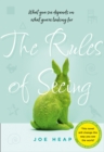 Image for The Rules of Seeing