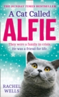 Image for A cat called Alfie