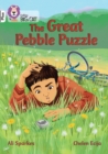 Image for The great pebble puzzle