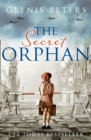 Image for The Secret Orphan