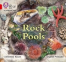 Image for Rock pools