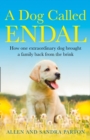 Image for A Dog Called Endal: How one extraordinary dog brought a family back from the brink