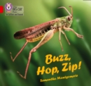 Image for Buzz, hop, zip!