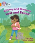 Image for Witney and Boscoe&#39;s Lost and Found