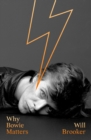 Image for Why Bowie matters