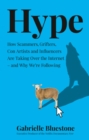 Image for Hype: how scammers, grifters and con artists are taking over the internet, and why we&#39;re following