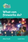 Image for What fantastic things can fireworks do?