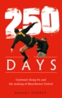 Image for 250 days  : Cantona&#39;s kung fu and the making of Manchester United