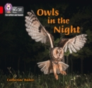 Image for Owls in the Night