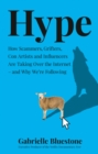 Image for Hype  : how scammers, grifters and con artists are taking over the internet, and why we&#39;re following