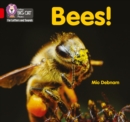 Image for Bees! : Band 02b/Red B