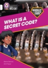 Image for Shinoy and the Chaos Crew: What is a secret code?