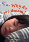 Image for Why do we dream?