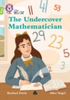 Image for The Undercover Mathematician
