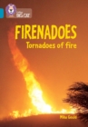 Image for Firenadoes: Tornadoes of fire