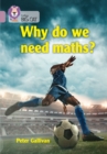 Image for Why do we need maths?