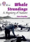 Image for Whale Strandings: A Mystery of Nature