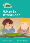 Image for What do lizards do?