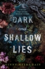 Image for Dark and Shallow Lies