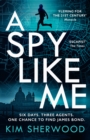 Image for A spy like me