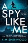 Image for A Spy Like Me