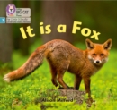 Image for It is a Fox