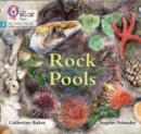 Image for Rock Pools