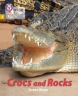 Image for Crocs and Rocks