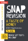 Image for A taste of honey  : GCSE 9-1 English literature text guide