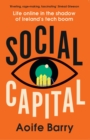 Image for Social capital  : life online in the shadow of Ireland&#39;s tech boom