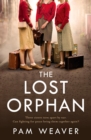 Image for The Lost Orphan