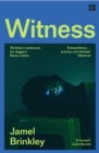 Image for Witness  : stories