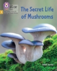 Image for The Secret Life of Mushrooms : Phase 5 Set 4 Stretch and Challenge