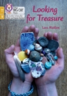 Image for Looking for Treasure