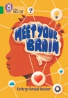 Image for Meet Your Brain
