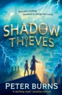 Image for Shadow Thieves