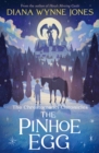 Image for The Pinhoe Egg