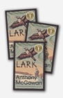 Image for Lark 30 Copy Class Set