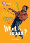 Image for What is sound?